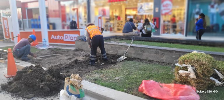 WhatsApp Image 2025-04-11 at 4.58.13 PM