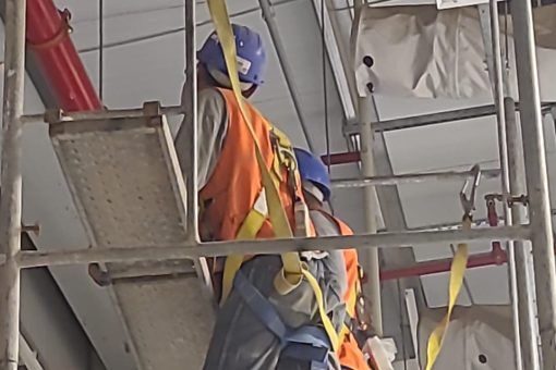 WhatsApp Image 2025-05-11 at 5.27.19 AM