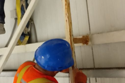 WhatsApp Image 2025-05-12 at 11.44.55 PM