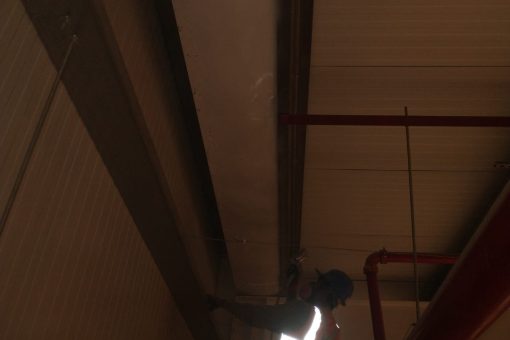 WhatsApp Image 2025-05-13 at 6.08.05 AM